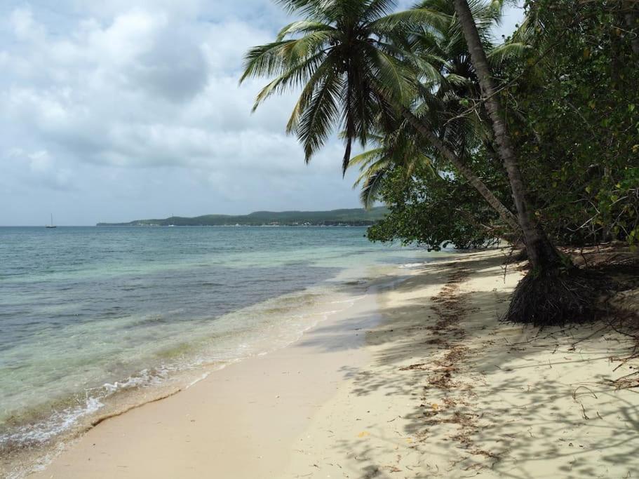 Katalea - Blue Dream, Plage, Piscine, Bar Grand-Bourg (Marie Galante) Exteriör bild