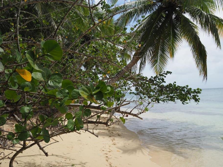 Katalea - Blue Dream, Plage, Piscine, Bar Grand-Bourg (Marie Galante) Exteriör bild