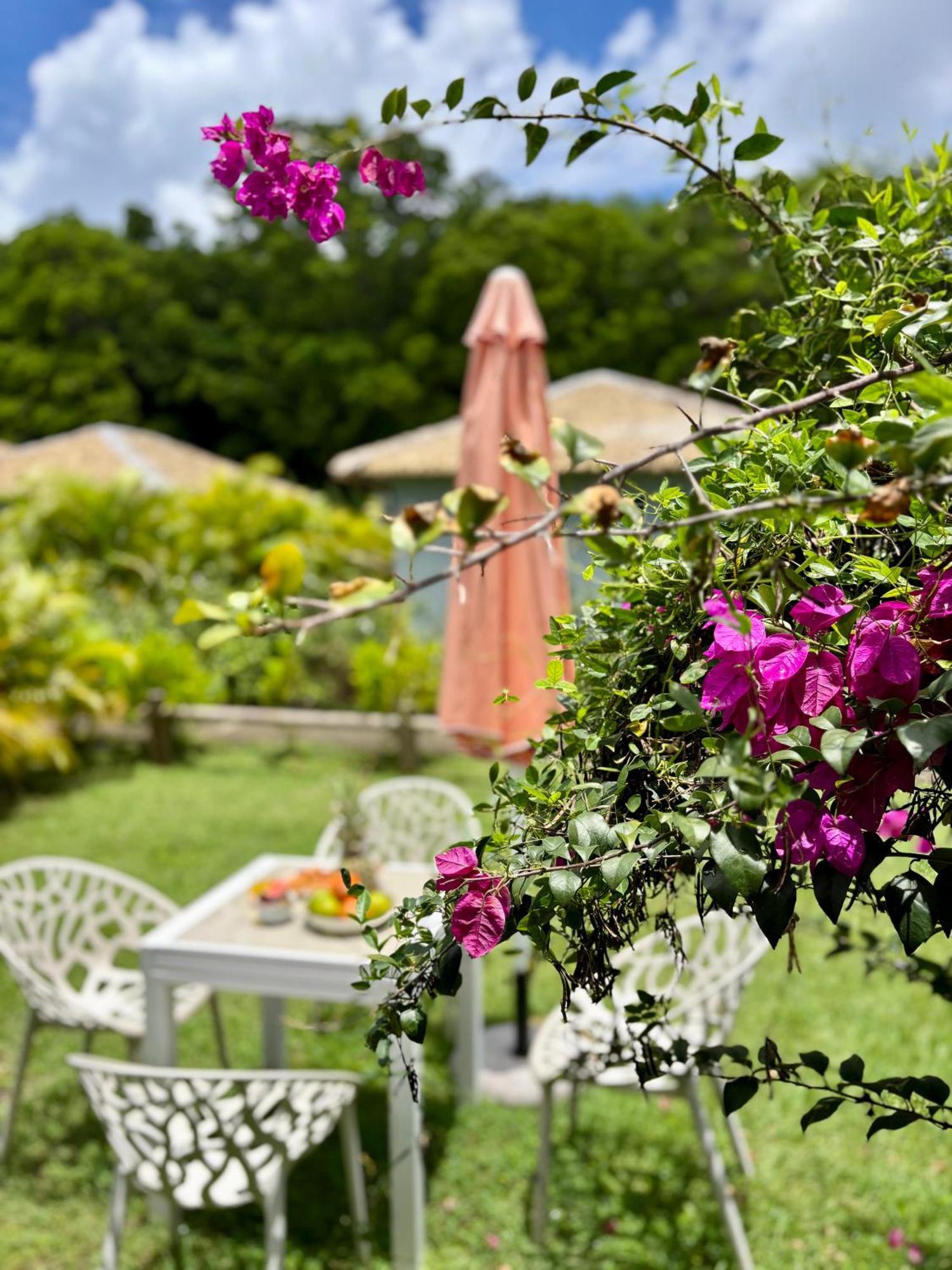 Katalea - Blue Dream, Plage, Piscine, Bar Grand-Bourg (Marie Galante) Exteriör bild